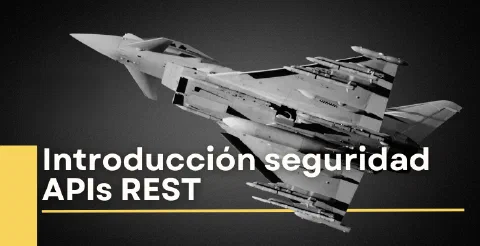 Introducción a la seguridad en las APIs REST